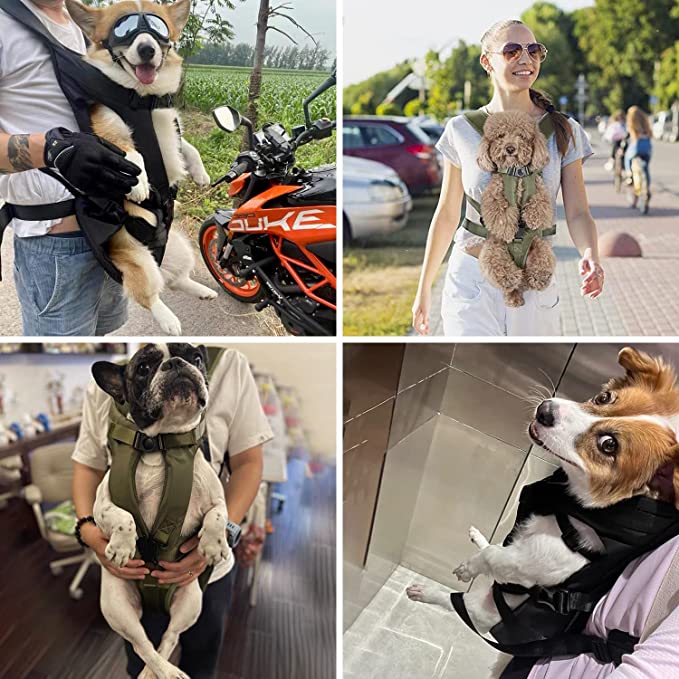 PetCarry | Handsfree Dog Carrier Backpack for Comfortable Transport