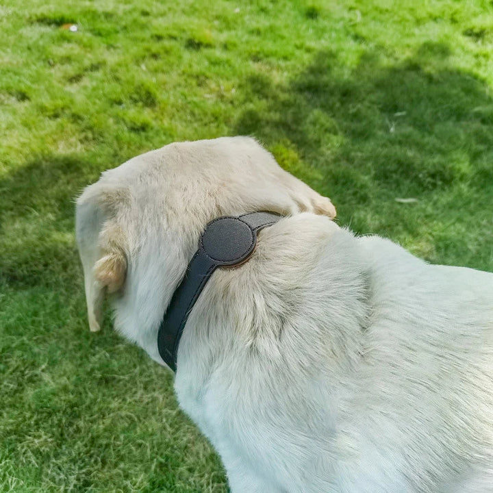 TagFit | Dog Collar with Integrated Airtag Holder