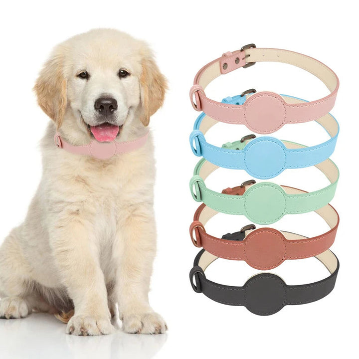 TagFit | Dog Collar with Integrated Airtag Holder