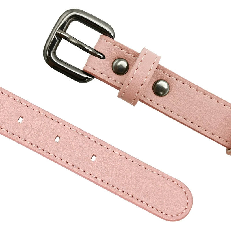TagFit | Dog Collar with Integrated Airtag Holder