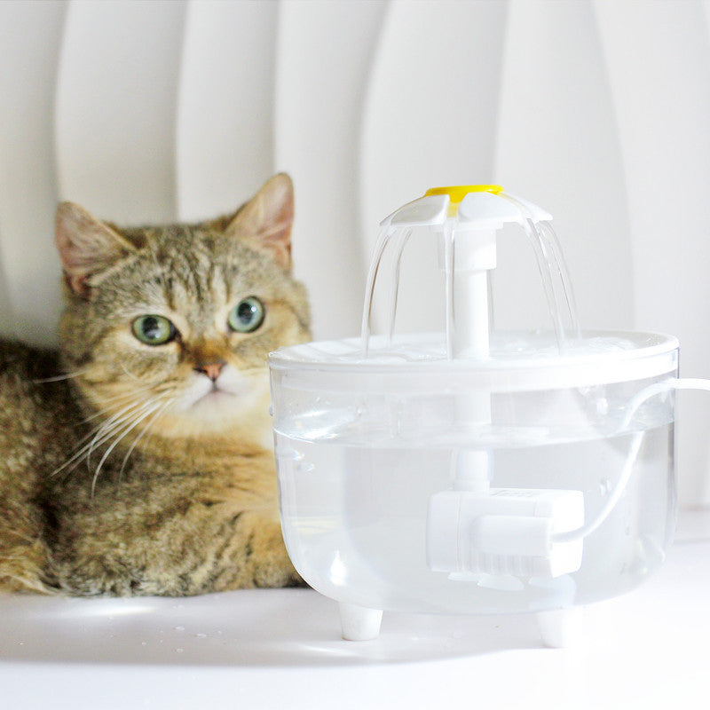 HydraPaws | Continuous Flow of Clean Water for Cats