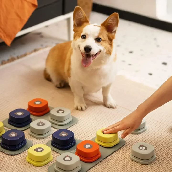 PawTalk | Dog Talk Button Set for Interactive Communication
