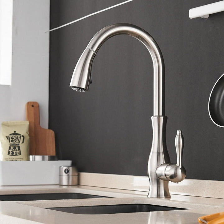KraanFlex – Pull-Out Kitchen Faucet with Flexible Hose – Ideal for Any Kitchen