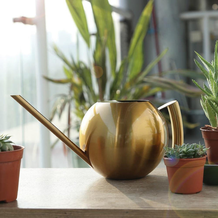 FlowStream - Slim Watering Can with Precise Spout - Durable Metal Watering Can for Houseplants