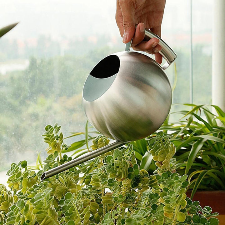 FlowStream - Slim Watering Can with Precise Spout - Durable Metal Watering Can for Houseplants