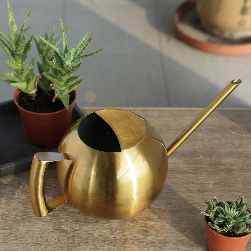 FlowStream - Slim Watering Can with Precise Spout - Durable Metal Watering Can for Houseplants