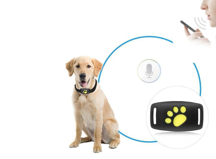 TrackCat | GPS Tracking System for Cats with Real-Time Updates