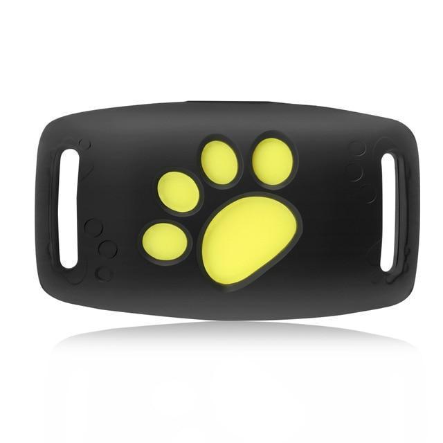 TrackCat | GPS Tracking System for Cats with Real-Time Updates