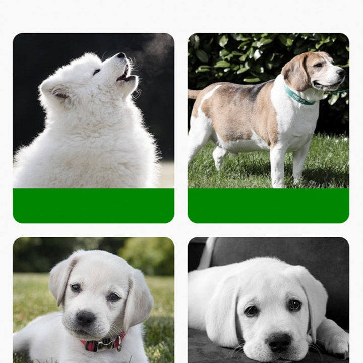 PetLush | Silicone Grass Mat for Organized Mealtime